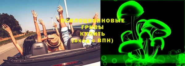 ГАЛЛЮЦИНОГЕННЫЕ ГРИБЫ Волосово