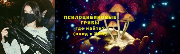 гашик Аркадак