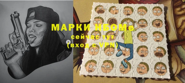 гашик Аркадак
