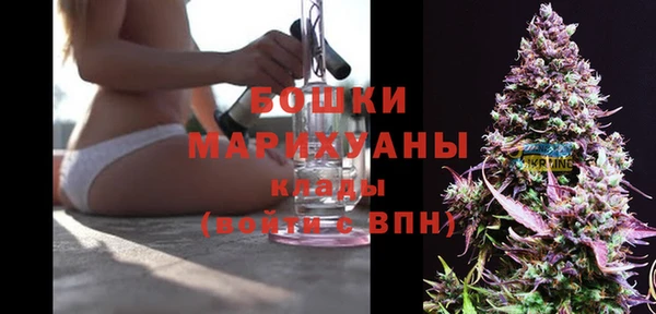 крисы Арсеньев