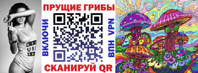 Купить закладки  Нюрба  Галлюциногенные грибы ЛСД 